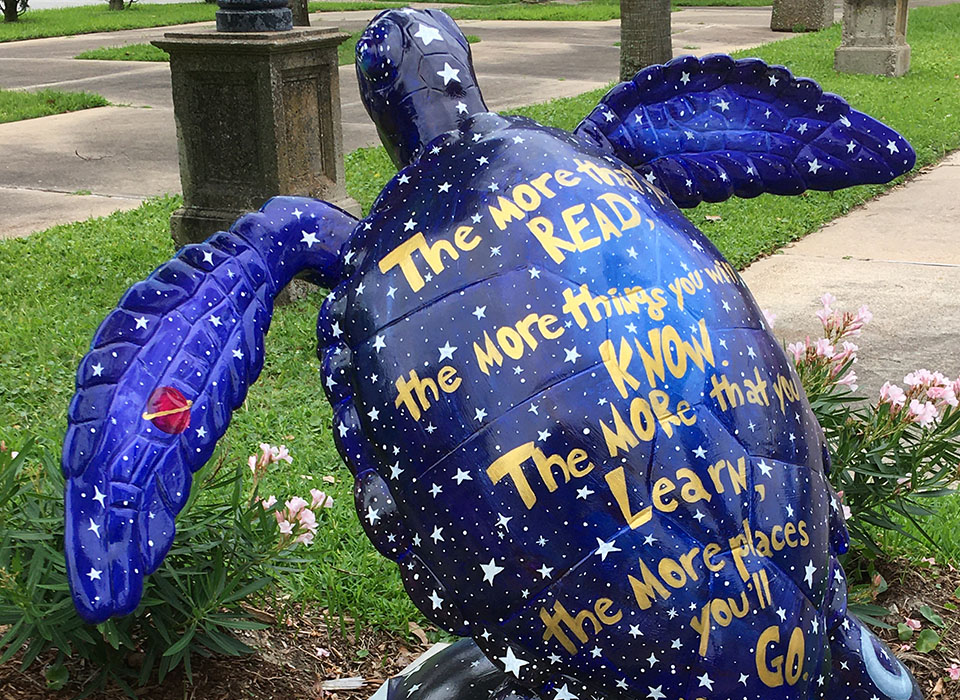 Guardian of the Galaxy – Turtle About Town Guardian of the Galaxy - Turtle About Town