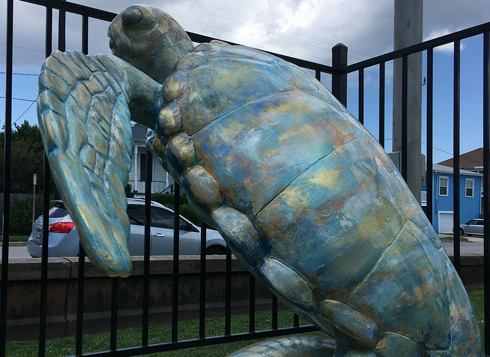 Ridley – Turtle About Town Ridley - Turtle About Town