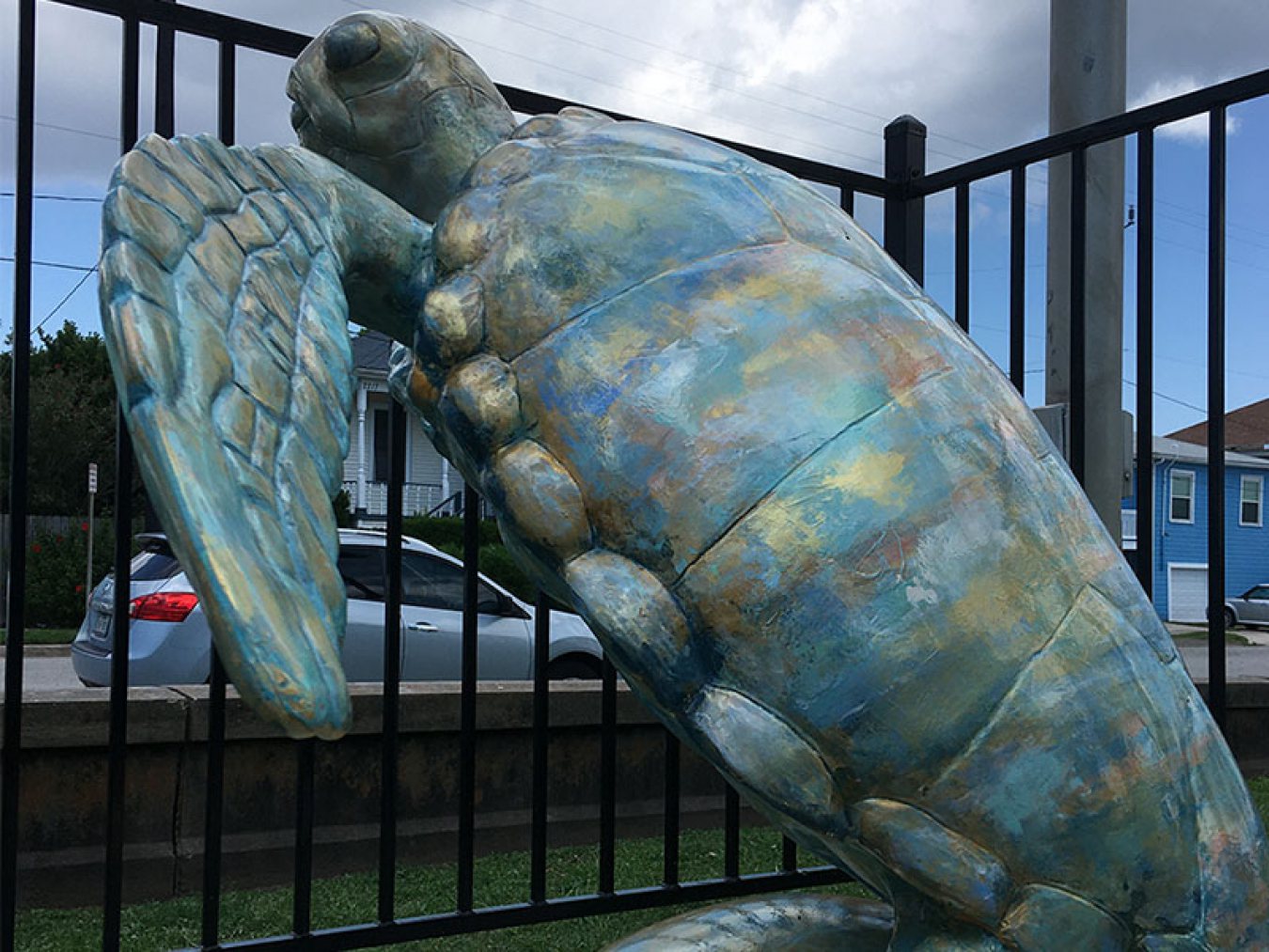 Ridley - Turtle About Town