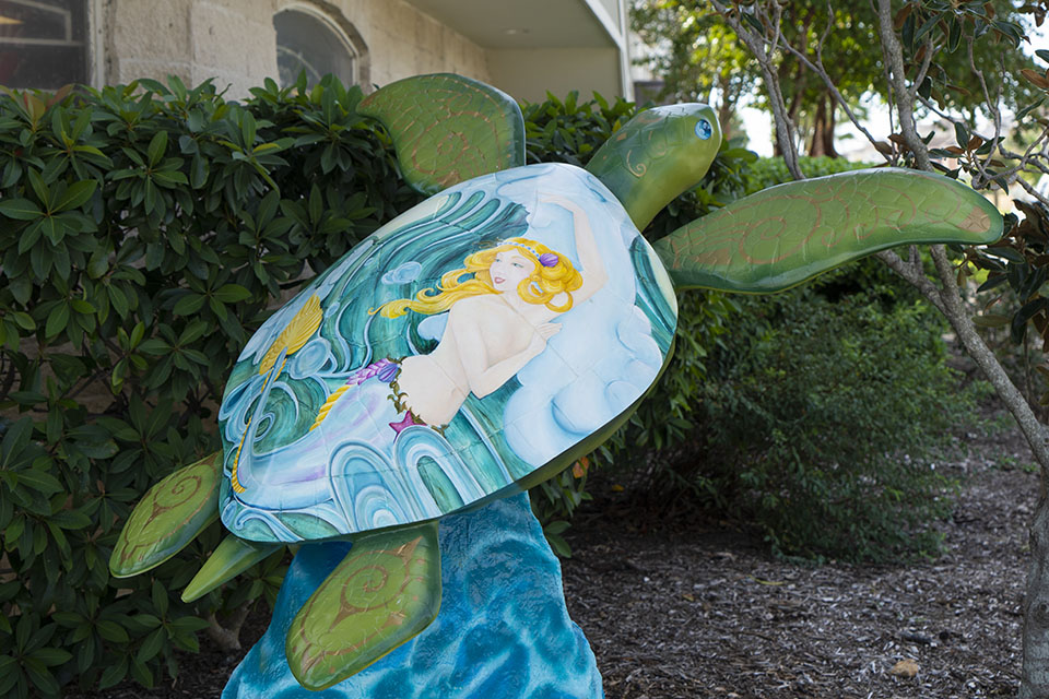 Sirens Tide – Turtle About Town Sirens Tide - Turtle About Town