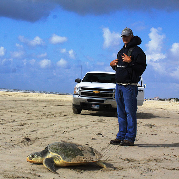 Steve Alexander on Beach