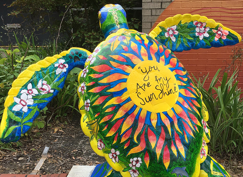 Sunny – Turtle About Town Sunny - Turtle About Town
