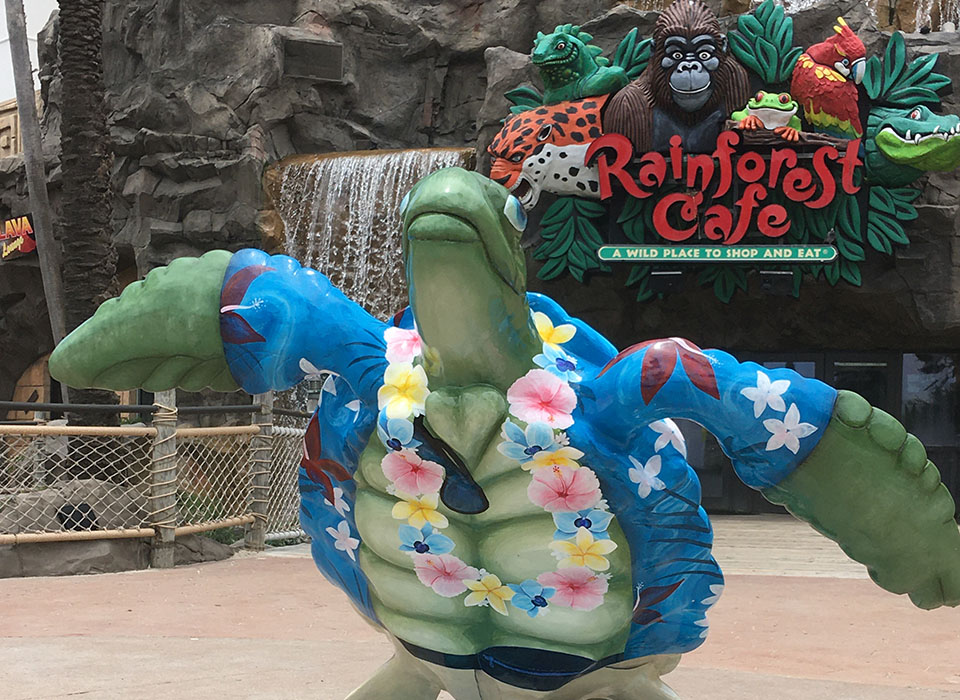 Tourist Ted – Turtle About Town Tourist Ted - Turtle About Town