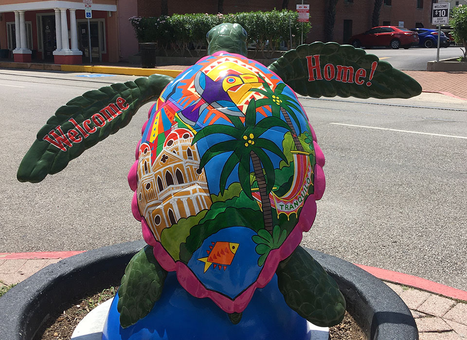 Tranquilo Baby - Turtle About Town