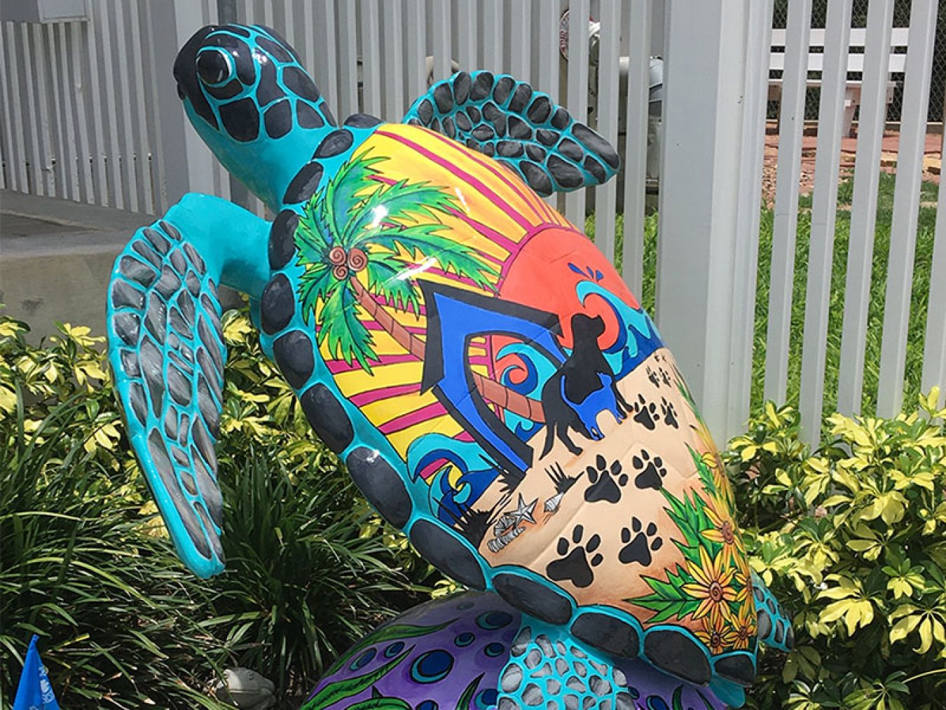 Wags - Turtle About Town