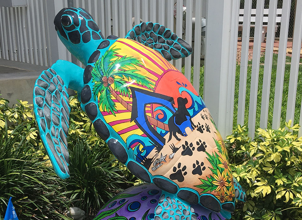 Wags – Turtle About Town Wags - Turtle About Town