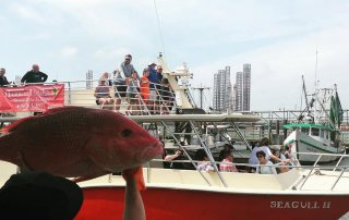 Galveston Harbor Tours