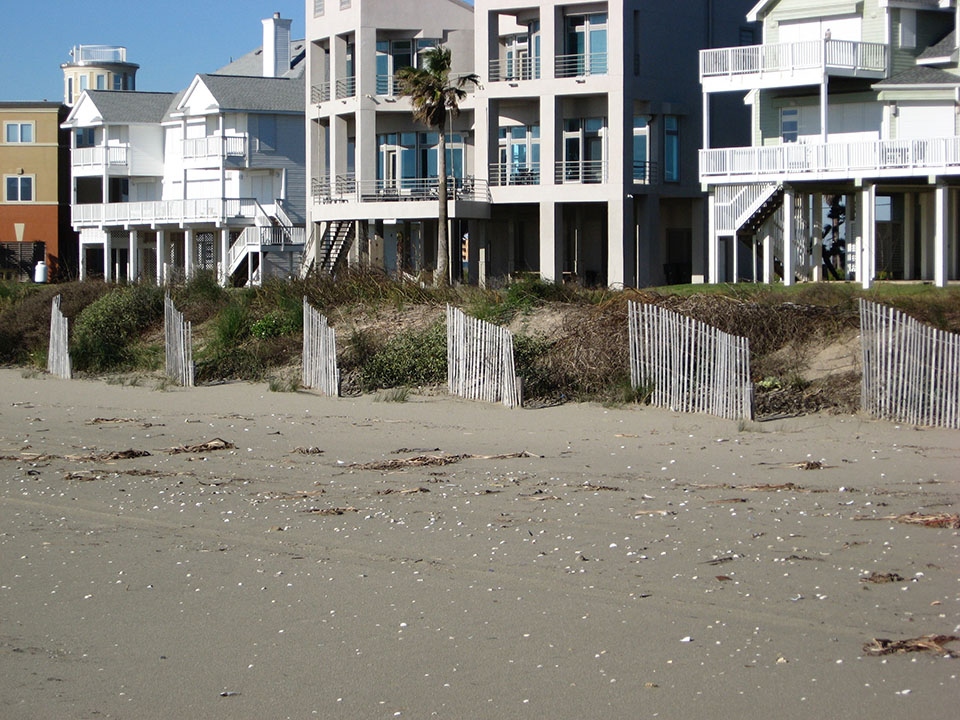 Sand Fencing