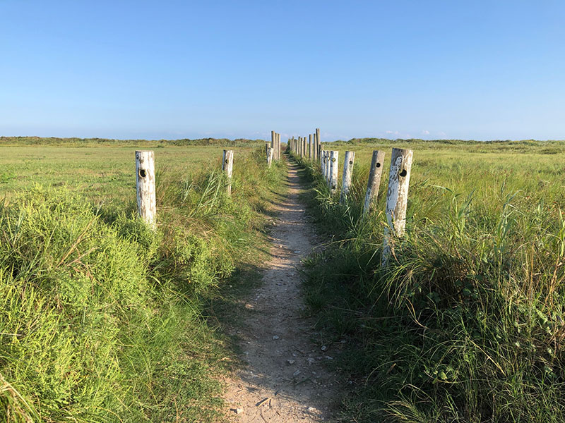 Beach Access Point 1A Trail to Beach