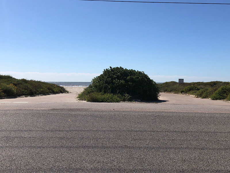 Beach Access Point 36 at Salt Cedar Drive Entrance