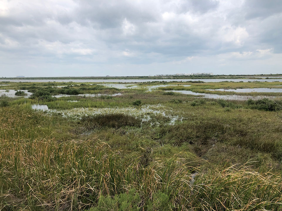 East End Lagoon as Beta Approaches East End Lagoon as Beta Approaches