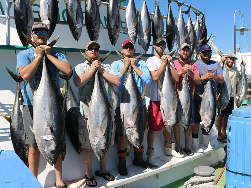 Dead bait can effective when going saltwater fishing