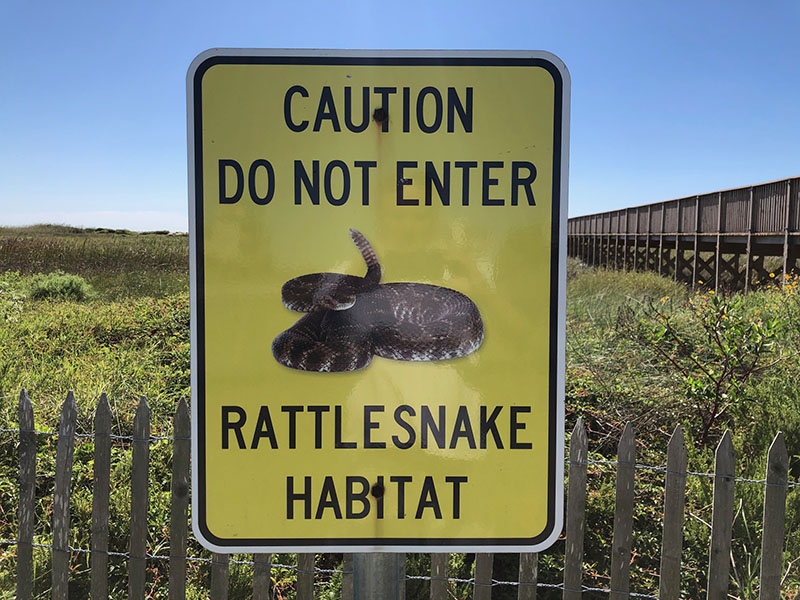 Point West Boardwalk to Beach - Rattlesnake Warning Sign