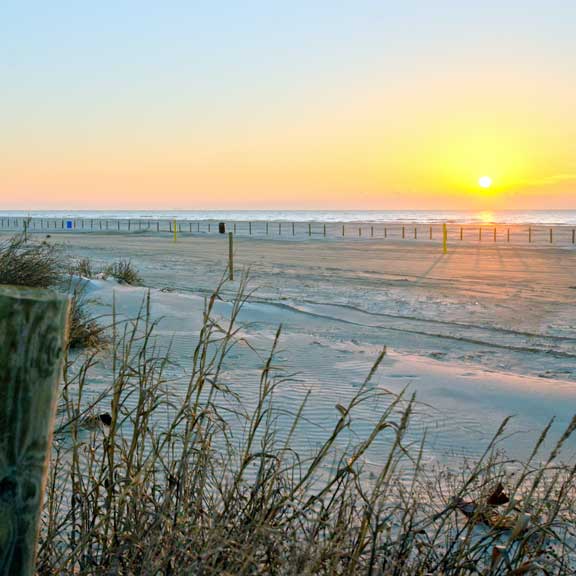 Looking Westward from Stewart Beach, Galveston TX