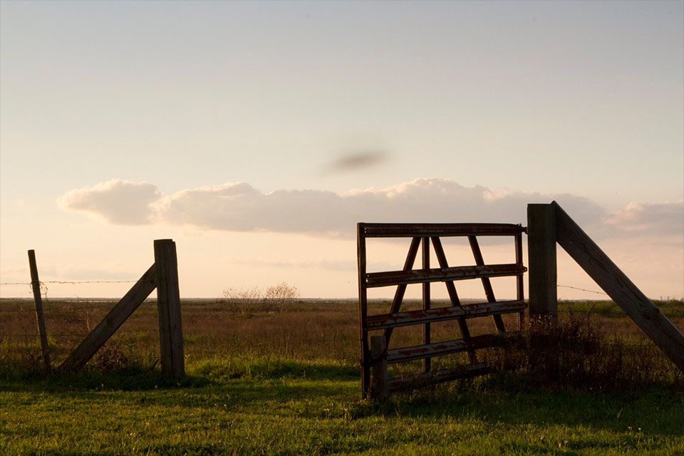 Fence at Coastal Heritage Preserve Fence at Coastal Heritage Preserve