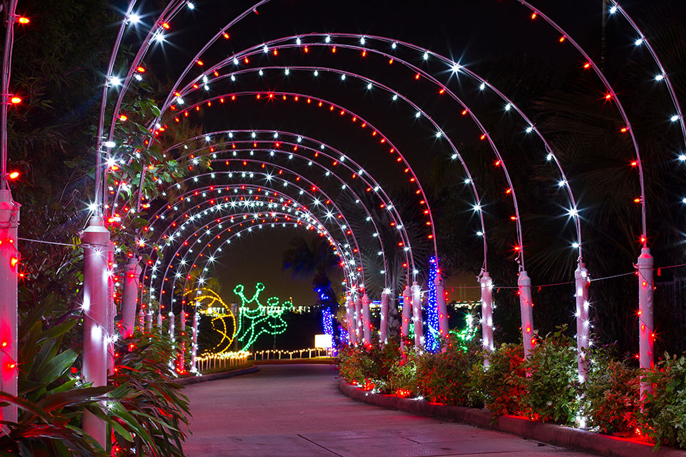 Festival of Lights Tunnel Festival of Lights Tunnel