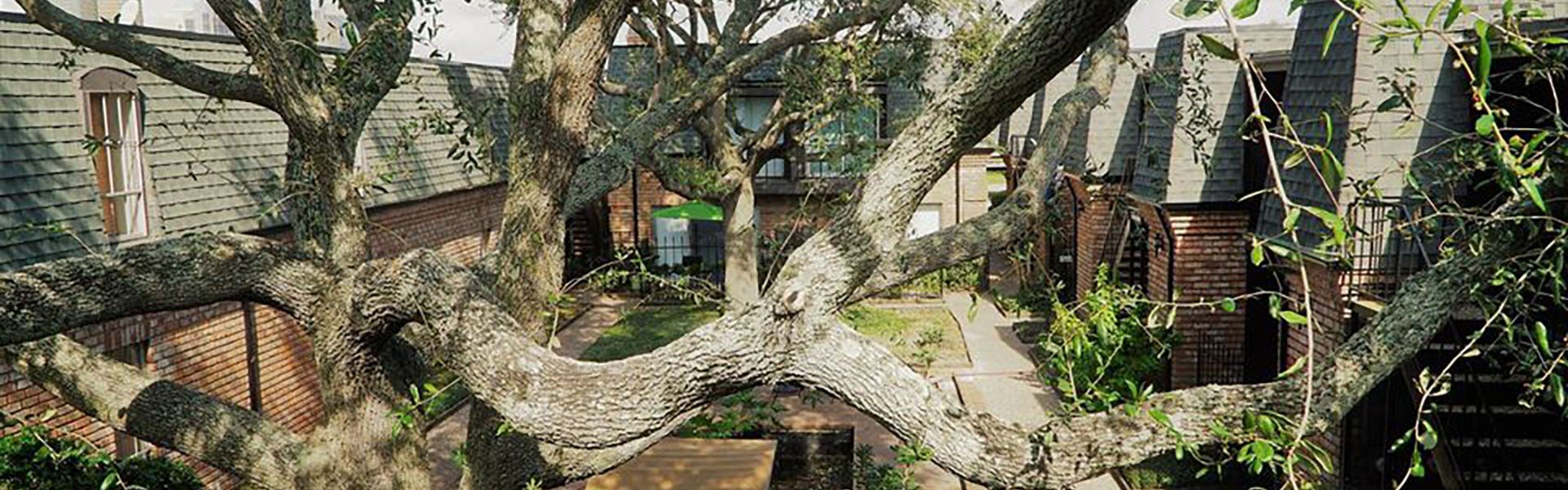 Chateau Lafitte Apartments and Townhomes Galveston, TX