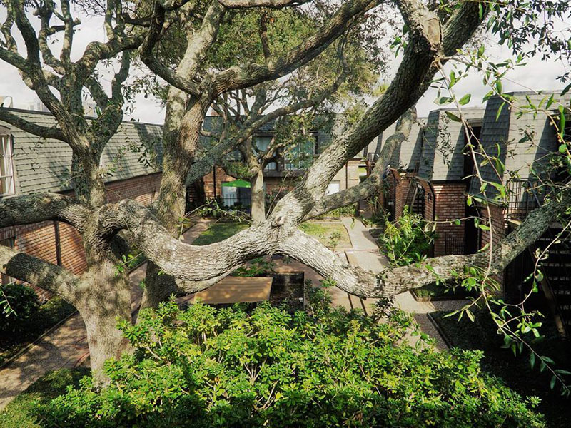 Chateau Lafitte Apartments and Townhomes Galveston, TX