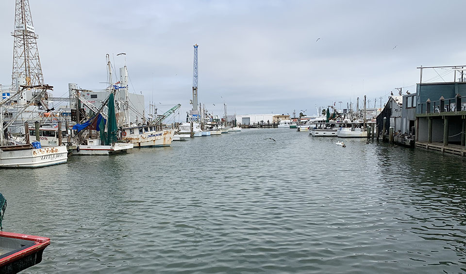 Fishing Fleet at Pier 19