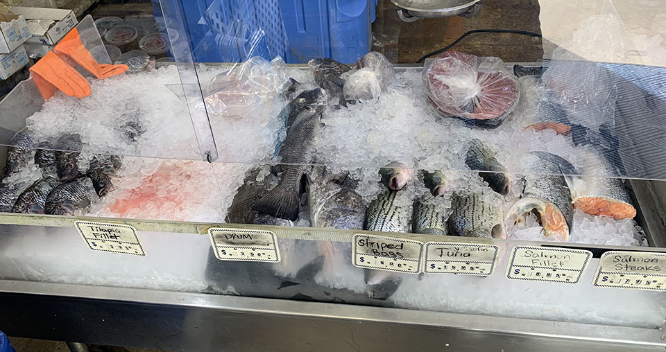 Fresh Fish For Sale at Katie's Seafood Market