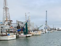 Shrimp Boats at Pier 19