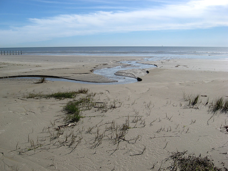 A Winter Beach