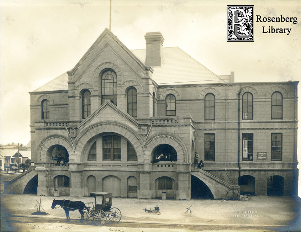 Rosenberg Library Colored Branch