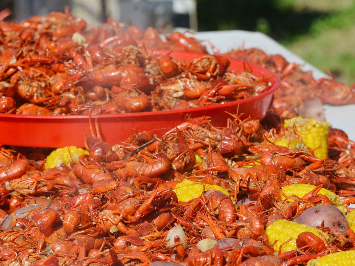 10th Rotary Club of Galveston Crawfish Boil Galveston, TX