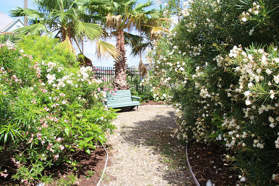 Betty Head Oleander Park Betty Head Oleander Park