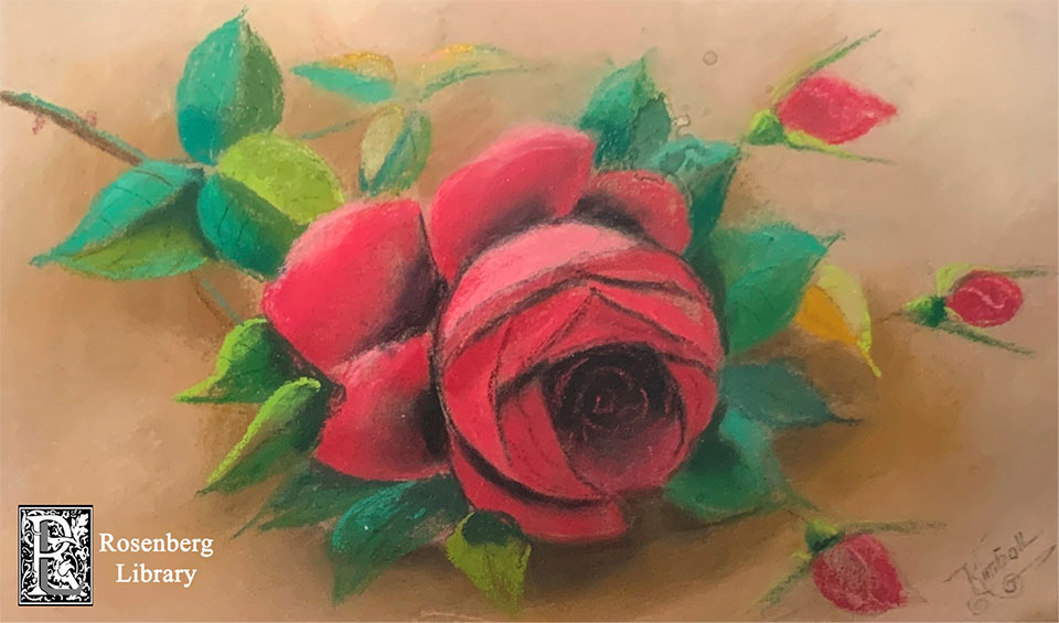 Pastel Rose Drawing by Maria C Kimball