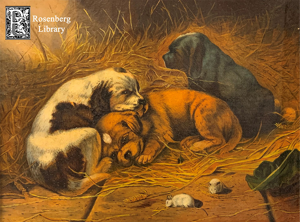 Three Puppies by Maria C Kimball