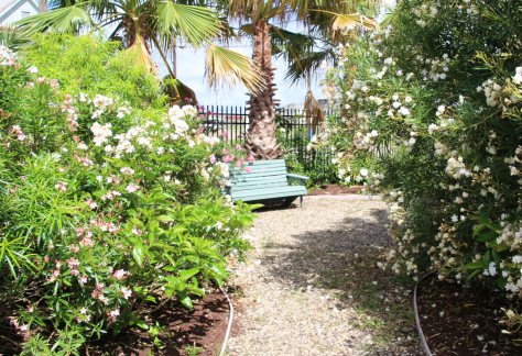 Betty Head Park