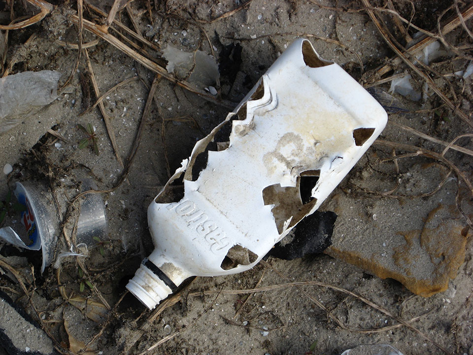 Sea Turtle Bites on Plastic Bottle