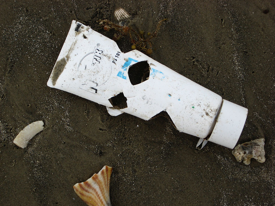 Sea Turtle Bites on Plastic Tube