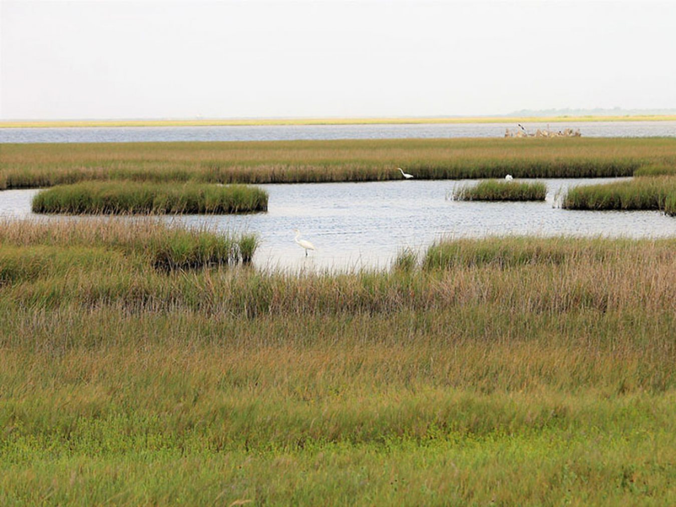 Chocolate Bay Shoreline