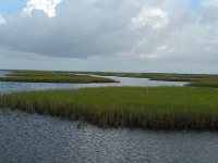 Restored Salt Marshes in Dalehite Cove