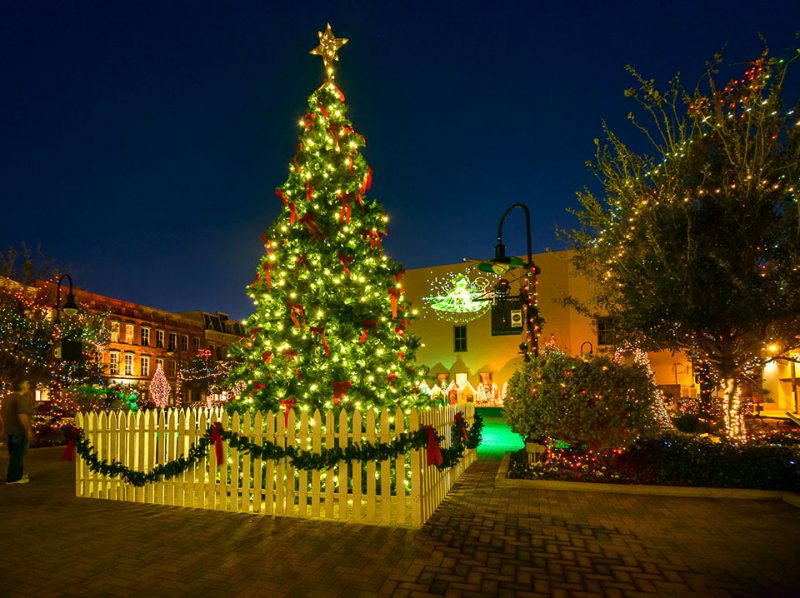 It's Tree Lighting Weekend Galveston, TX