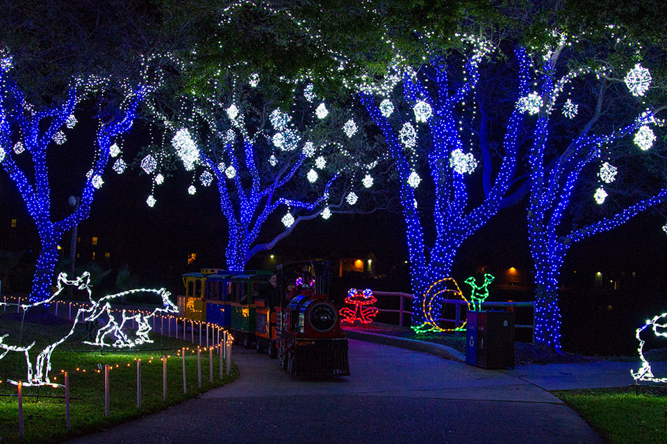 Train on the Festival of Lights trail Train on the Festival of Lights trail