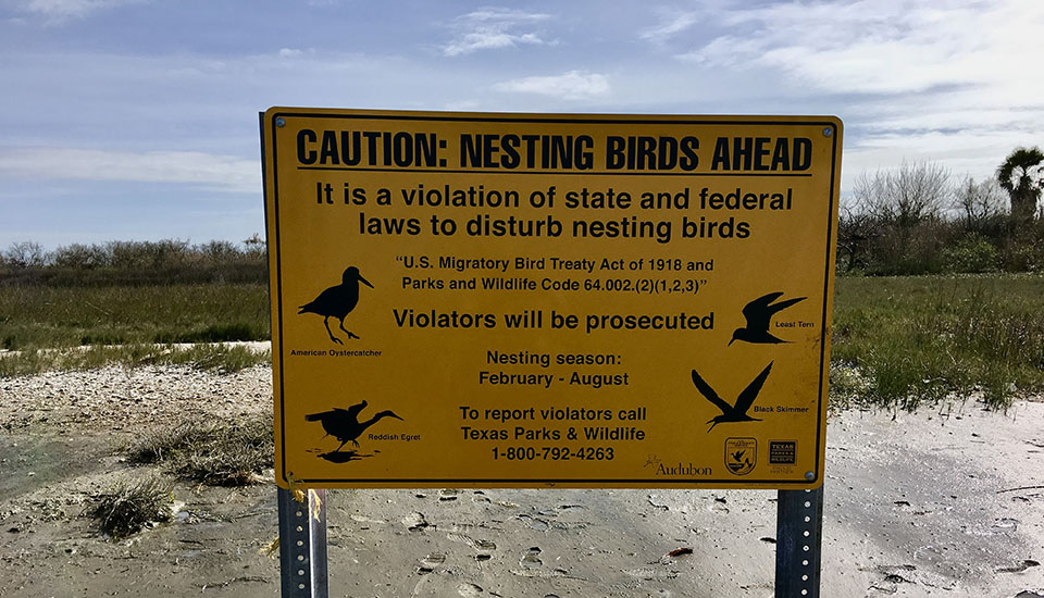 "Nesting Birds Ahead" Sign