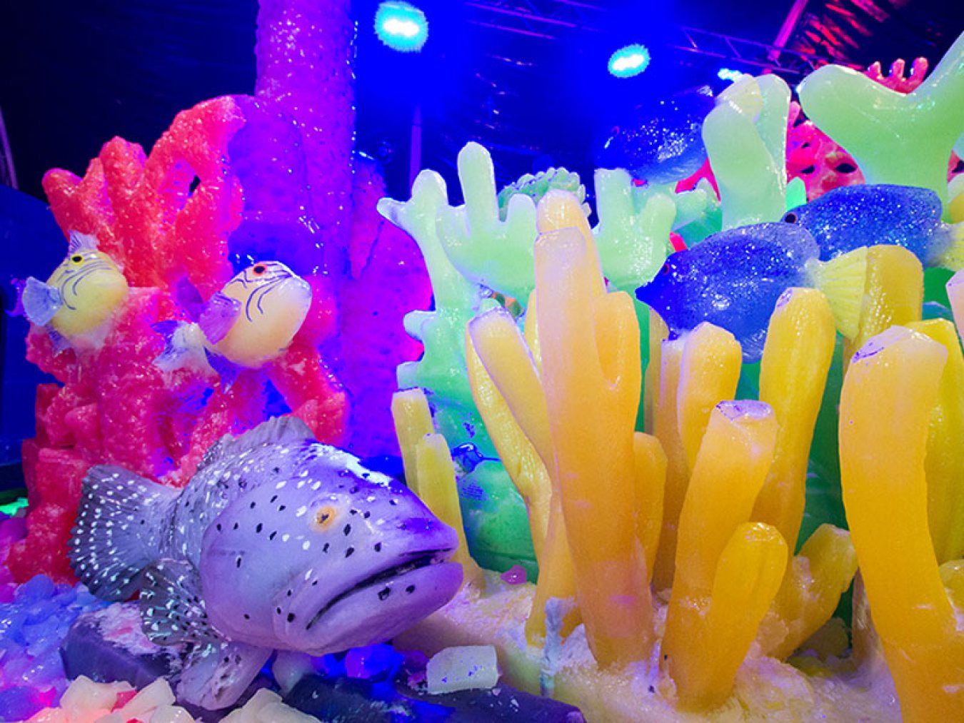 Ice Sculptures - Grouper and Coral