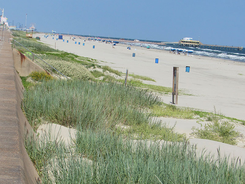 Dune Development at Babes Beach in late 2022