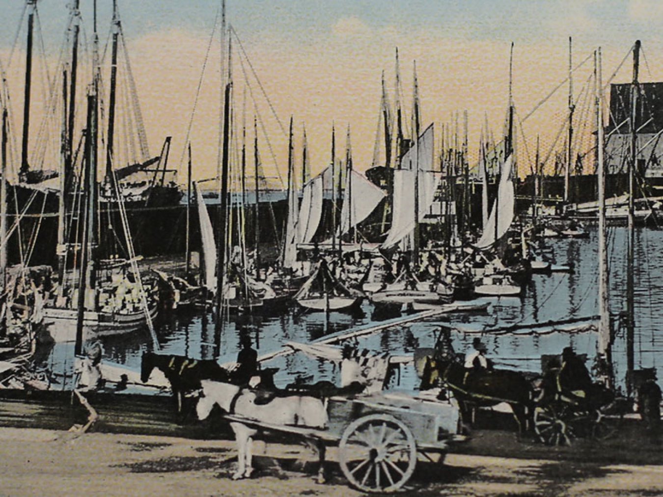 Mosquito Fleet postcard circa 1910