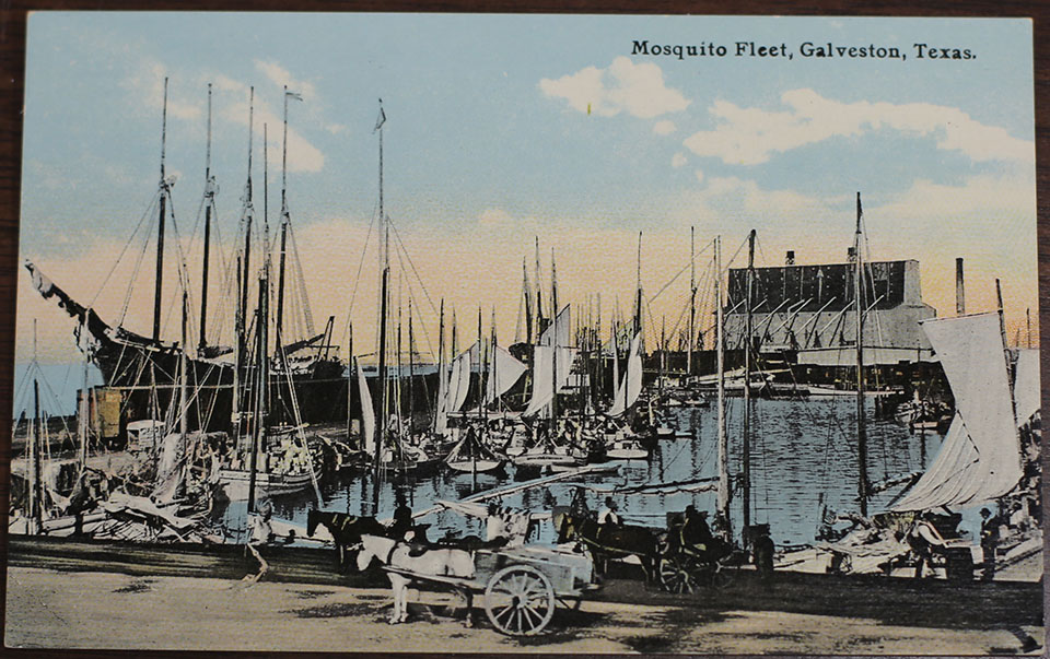 Mosquito Fleet postcard circa 1910