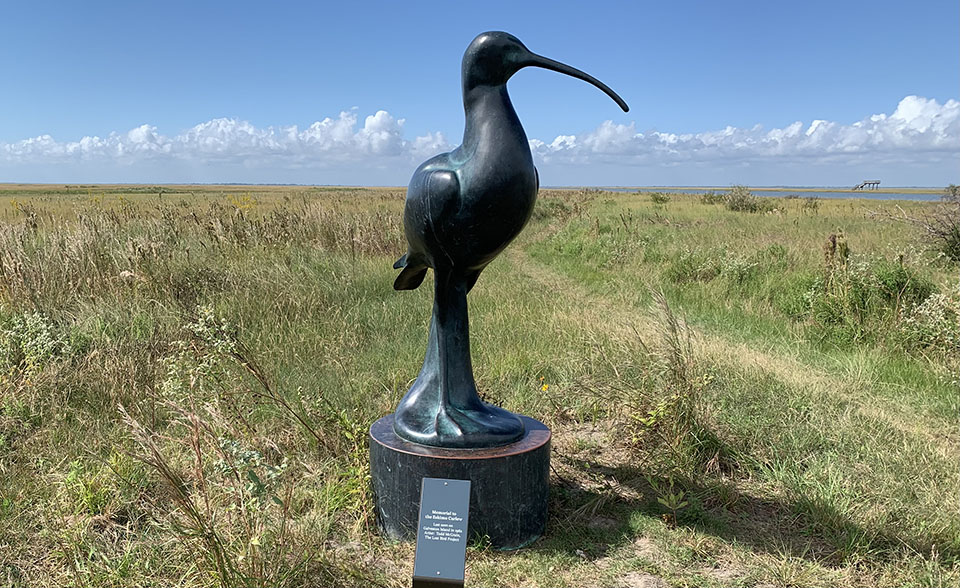 Eskimo Curlew Statue