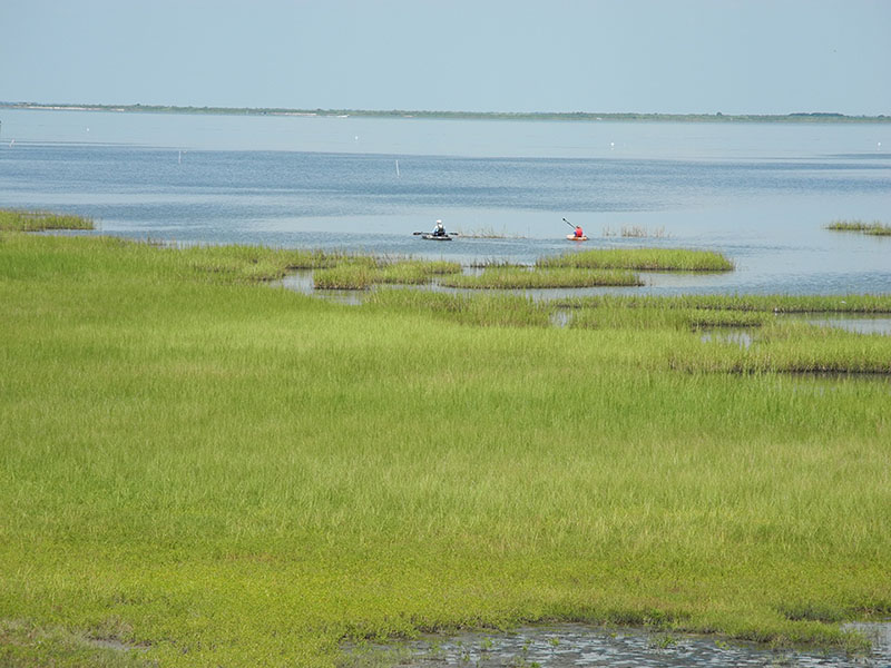 Galveston Island State Park