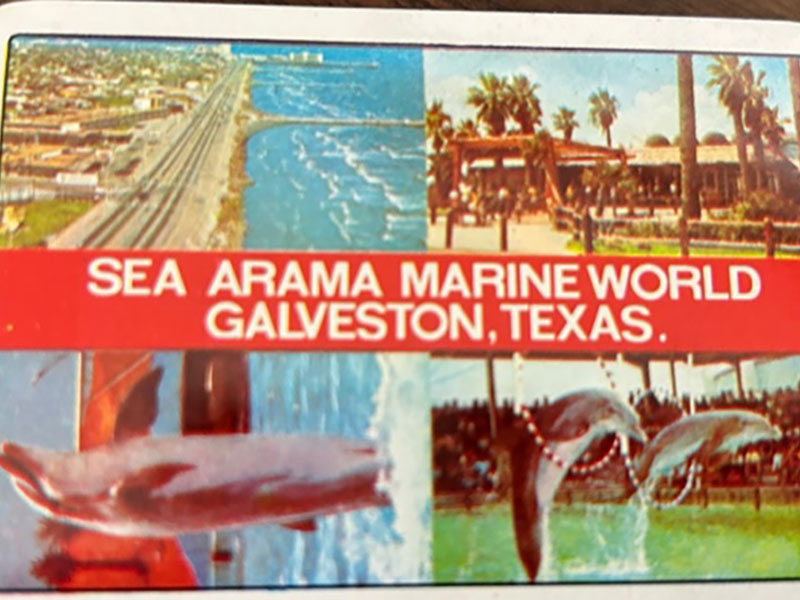 Sea-Arama Cards