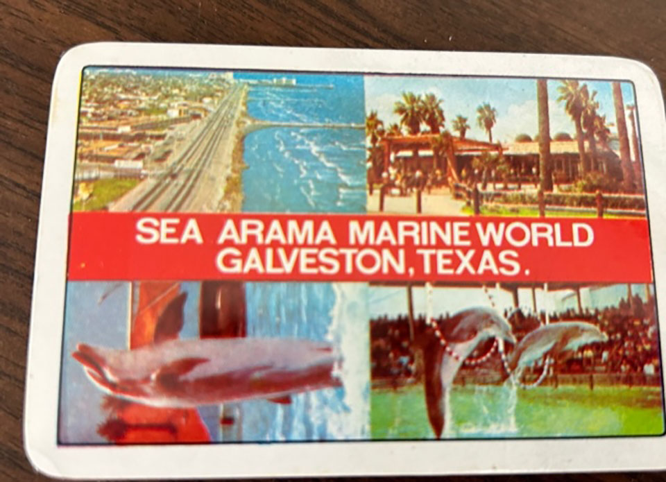 Sea-Arama Cards