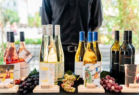 Wine and grapes