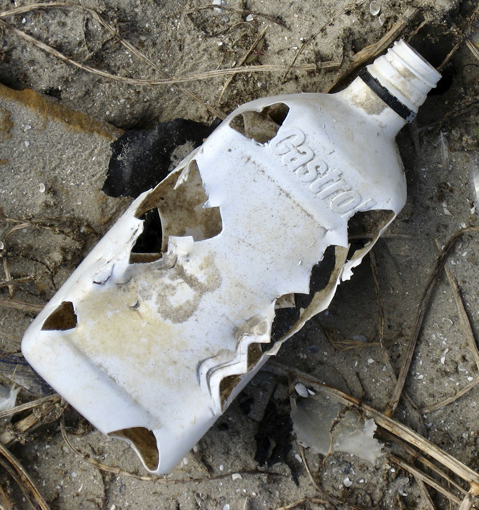 Plastic Bottle Bitten by Sea Turtles
